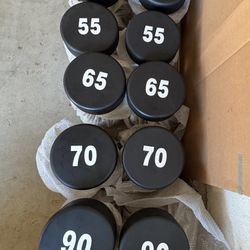 Exercise Weights / Pesas De Ejercicio 