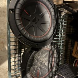 2  8 Inch Kickers 