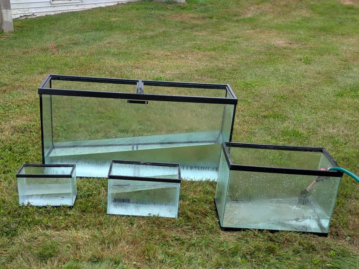 Reptile Or Fish Tanks