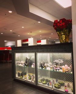 Crystals 💎Gemstone 💎 Minerals