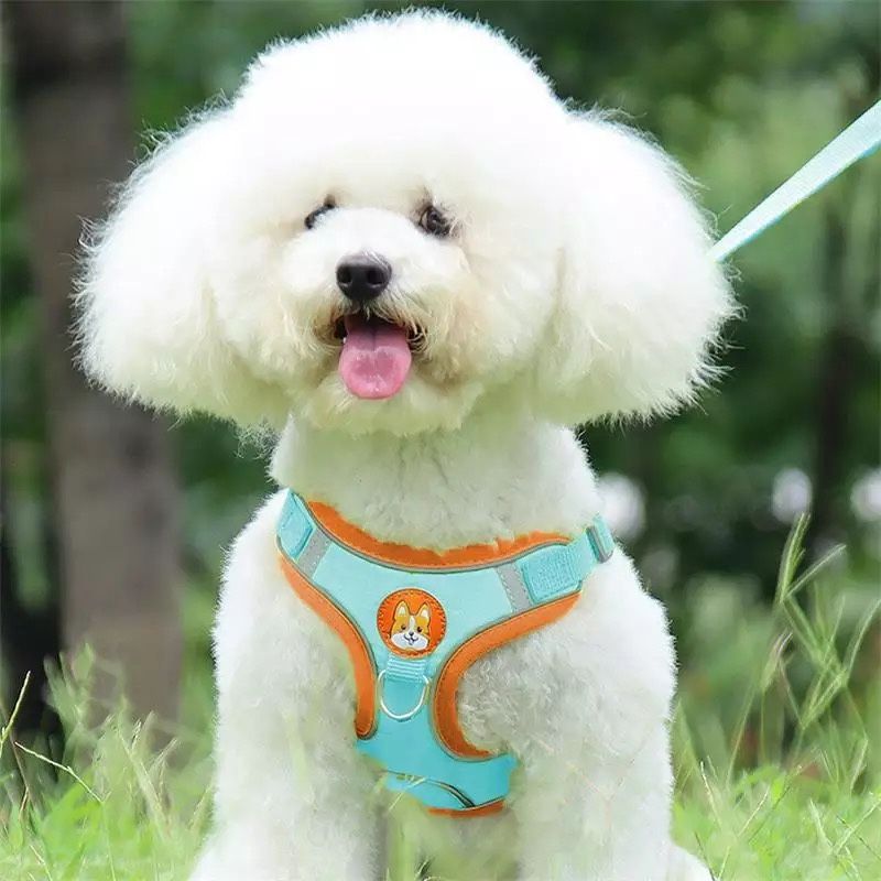 Dog Harness