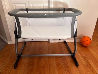 Baby Delight Bassinet with Metal Frame