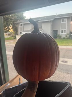Pumpkin
