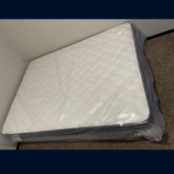 Full Size Mattress/Box Spring 