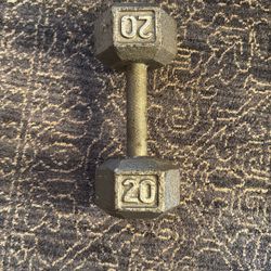 20 lb dumbbell