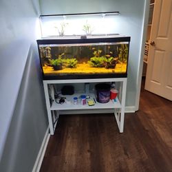 Fish tank With Stand