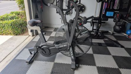 Rogue echo assault bike