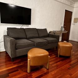 Gray Sofa Couch 