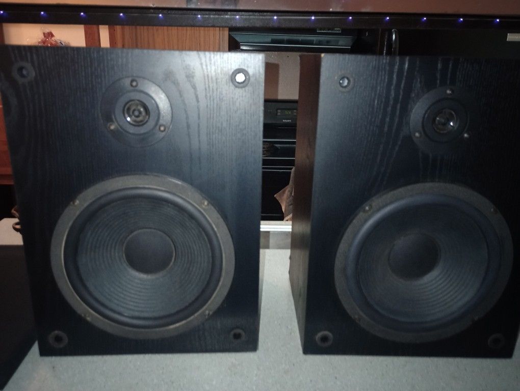 Amazing Sounding Vintage Bookshelf Speakers