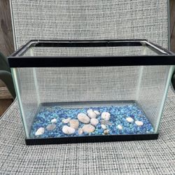 Tank Fish Small Size 