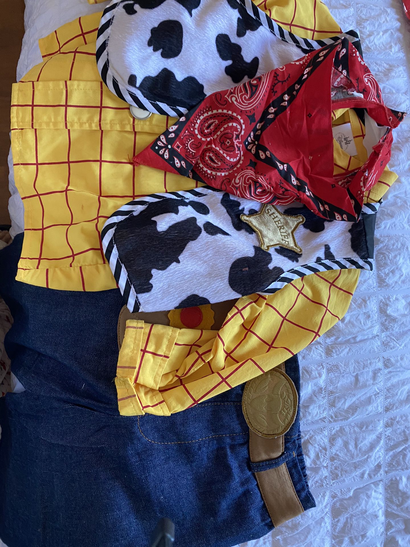 Toddler Boy Woody Costume W /hat