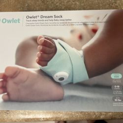 Owlet 