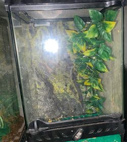 Small enclosure (2)