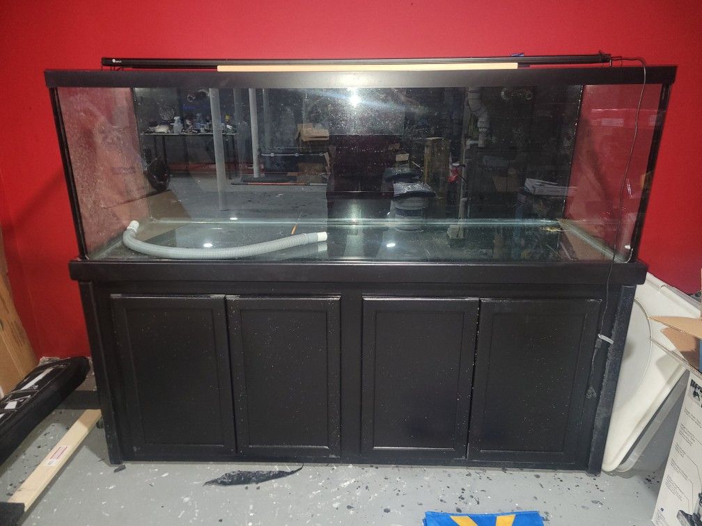 180 Gallon Aquarium