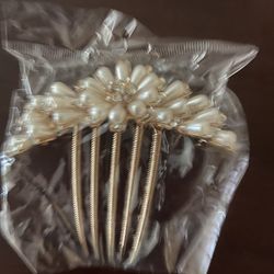 Hair Pin/comb