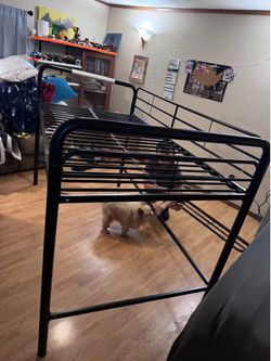 Bunk bed