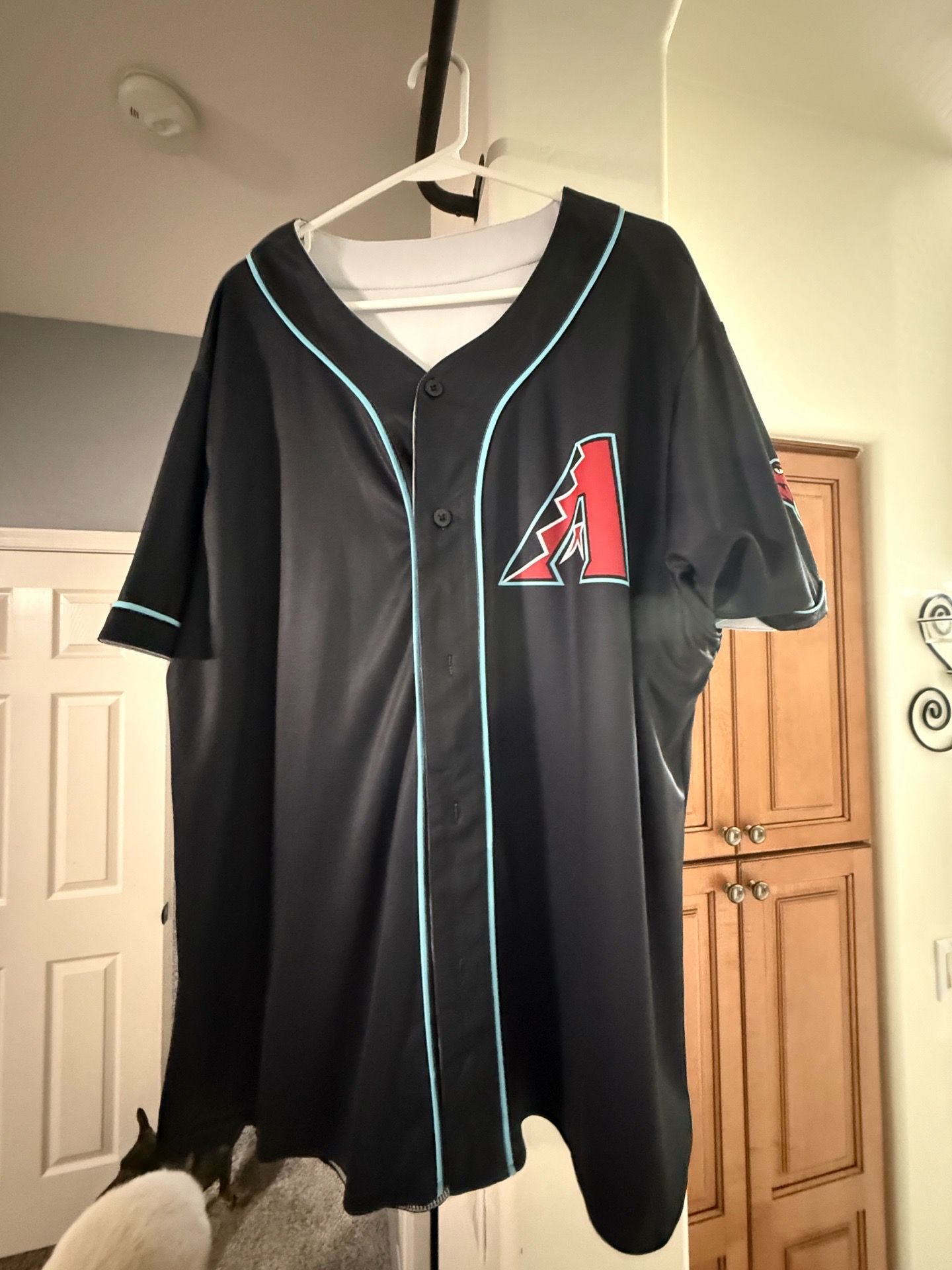 Arizona Diamondbacks Alternate Jersey XL