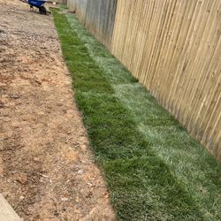 Fresh Sod 