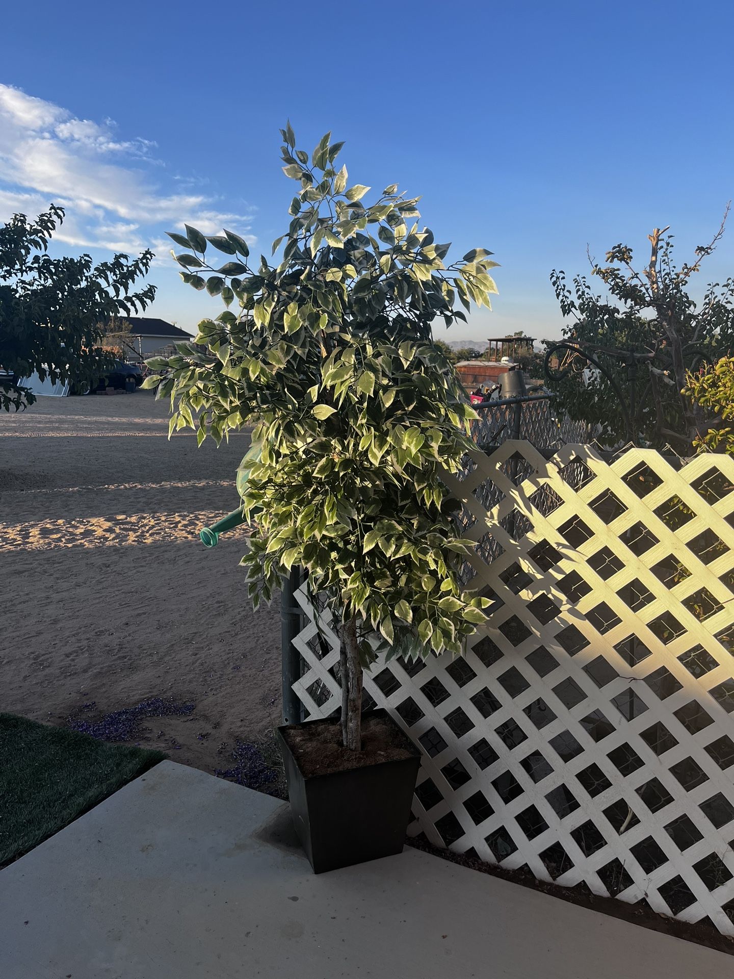 Indoor/ Outdoor Fake Plant