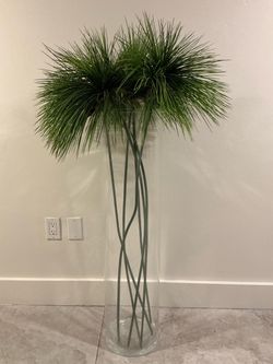 39" Tall Clear Glass Cylinder Floor Vase (includes Green Papyrus Stems