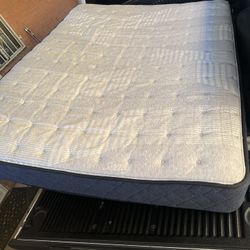 Used Sealy Mattress