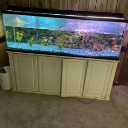 Fish Tank For Sale