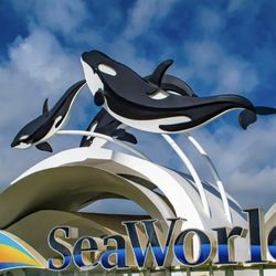Seaworld Tickets