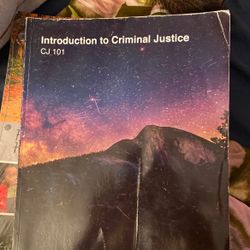 Introduction To Criminal Justice