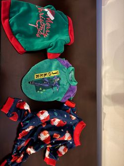 Dog clothes and carrier