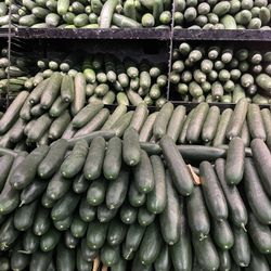 A Pepino Favorite!