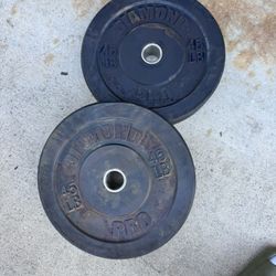 45lb Olympic Bumper Plate Weights