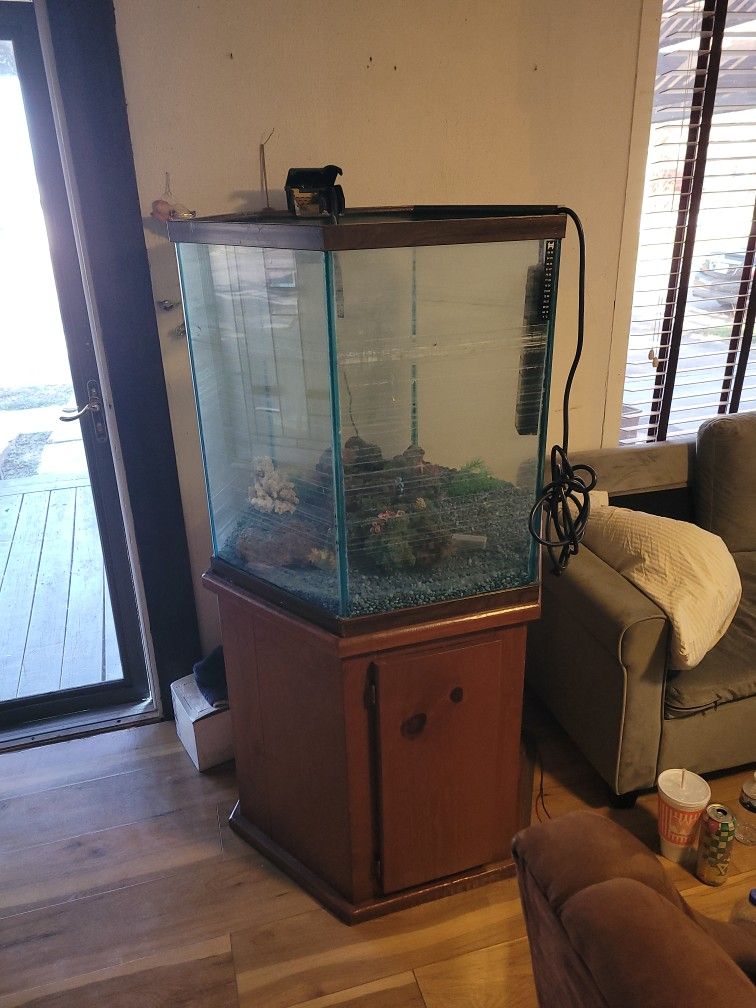 Fish Tank