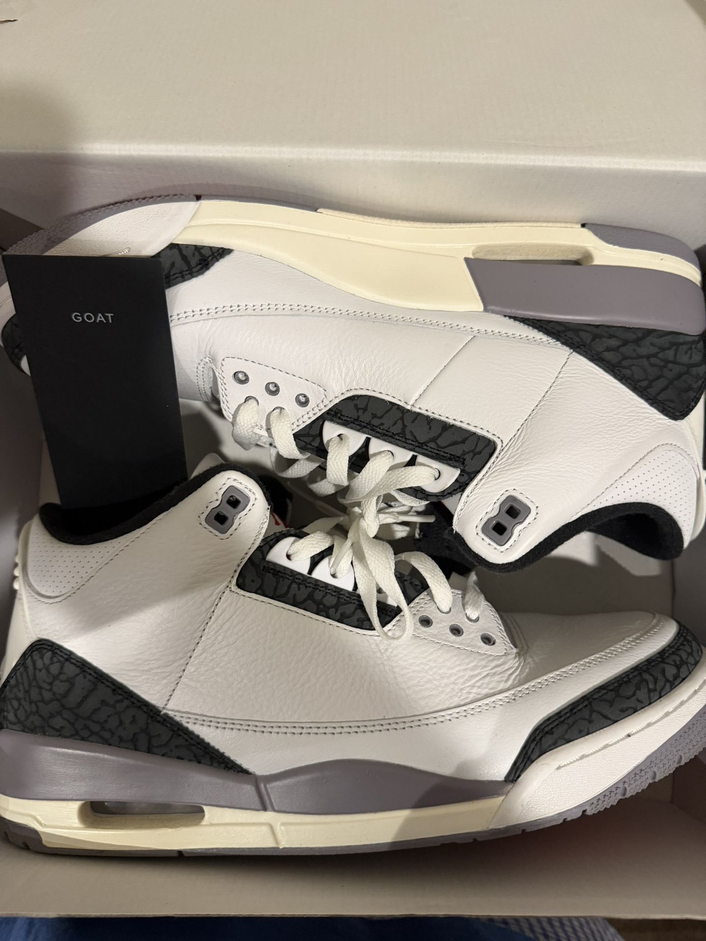 Air Jordan 3 Retros Size 13