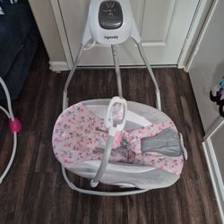 Ingenuity Baby Swing