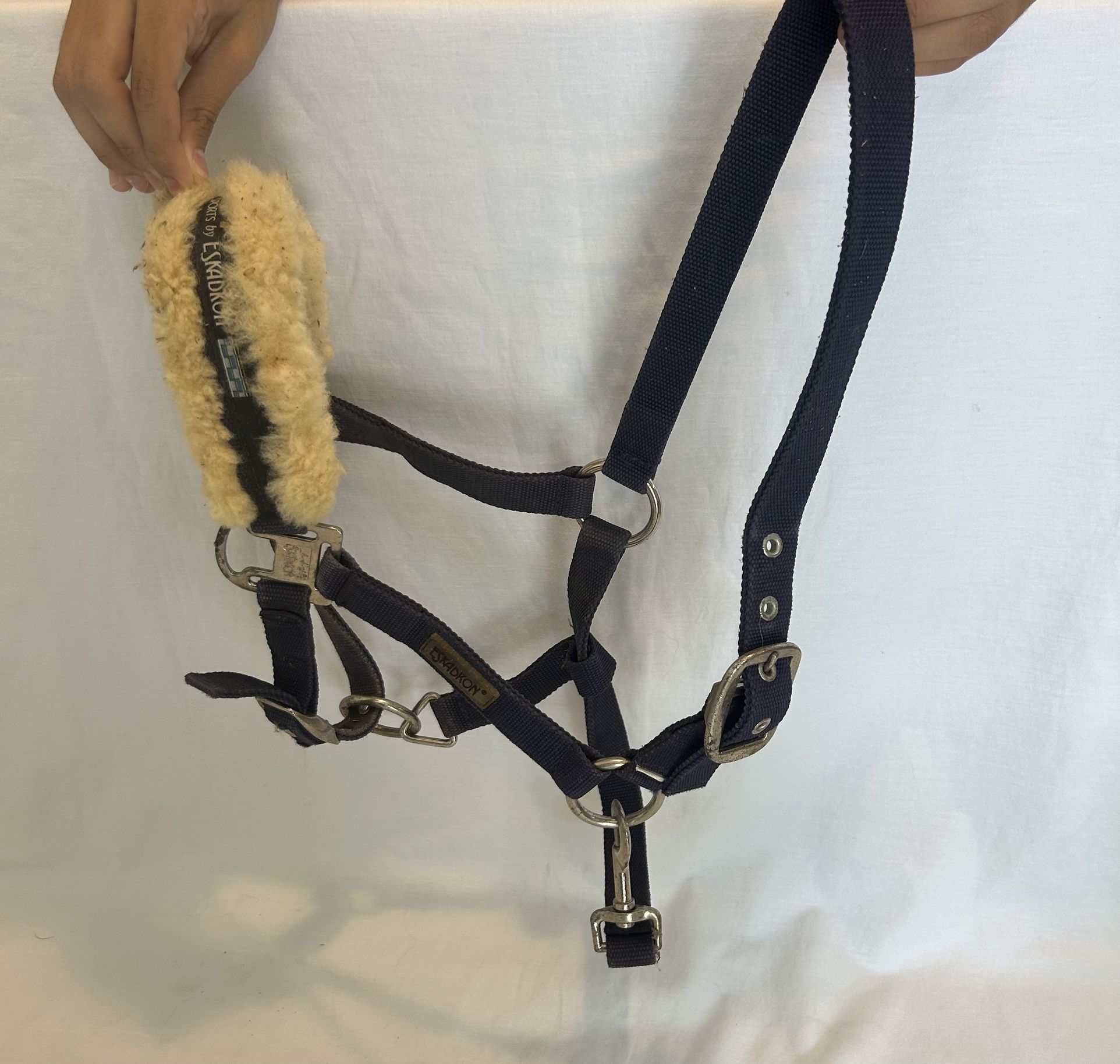 Horse Tack Walsh