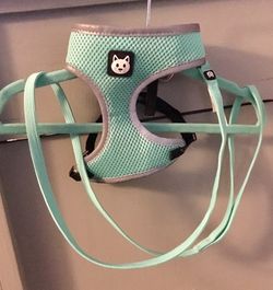 Cat Harness