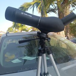 Hunting Spotted Asking $60