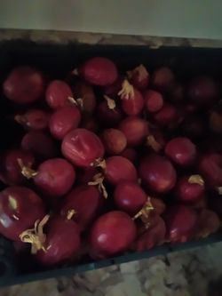 Organic passion fruit