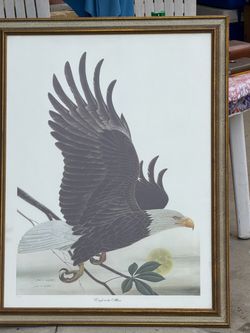 Eagle to the Moon Framed Signed Print