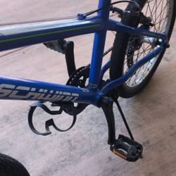 Schwinn Bike (20in Tires)