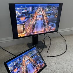 Dell 24" Monitor w/ HDMI Cable