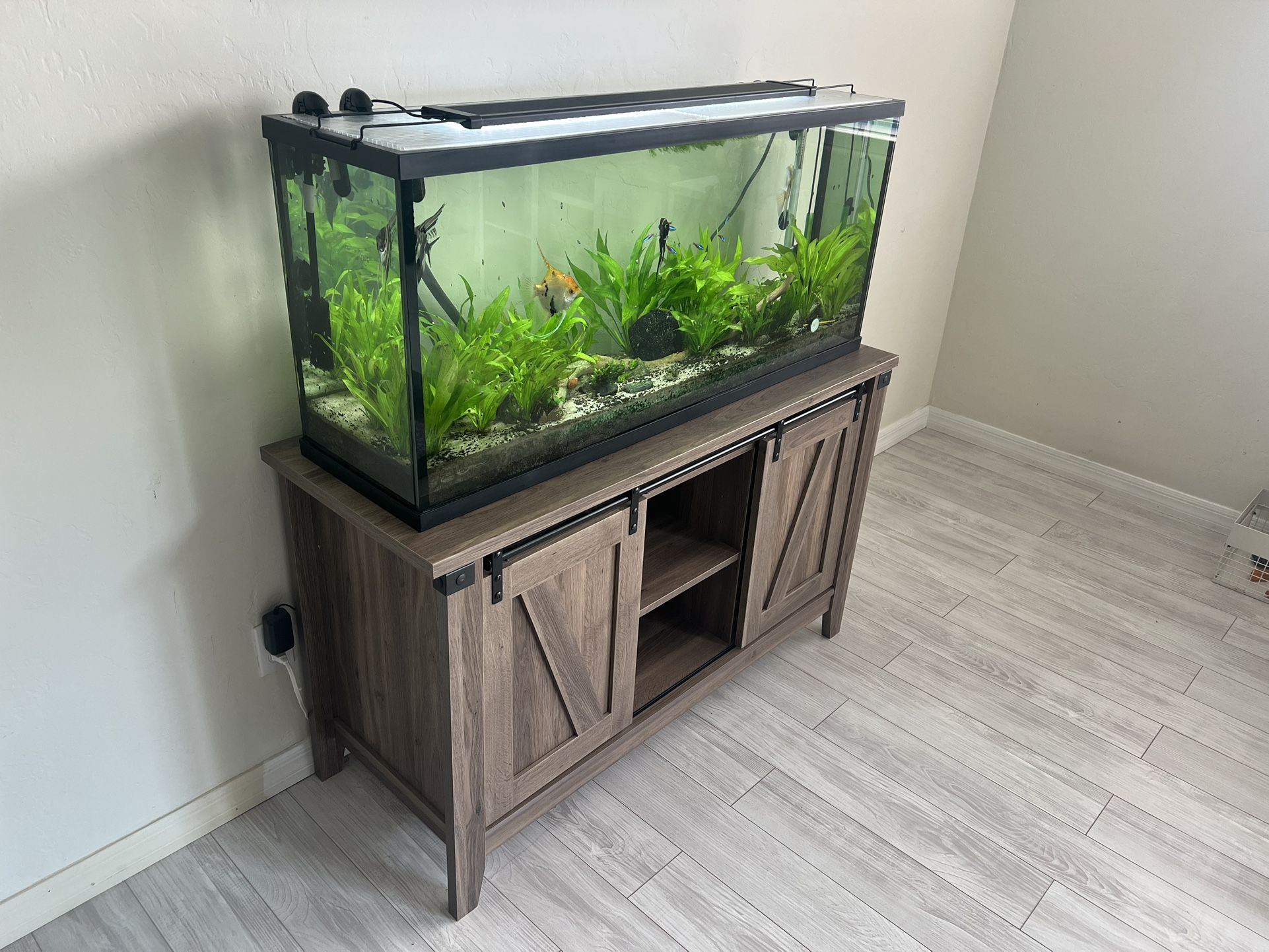 55 Gallon Fish Tank 