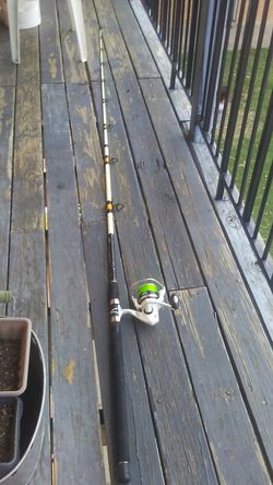 Cat buster 10 ft fishing pole for Sale in Garland, TX - OfferUp