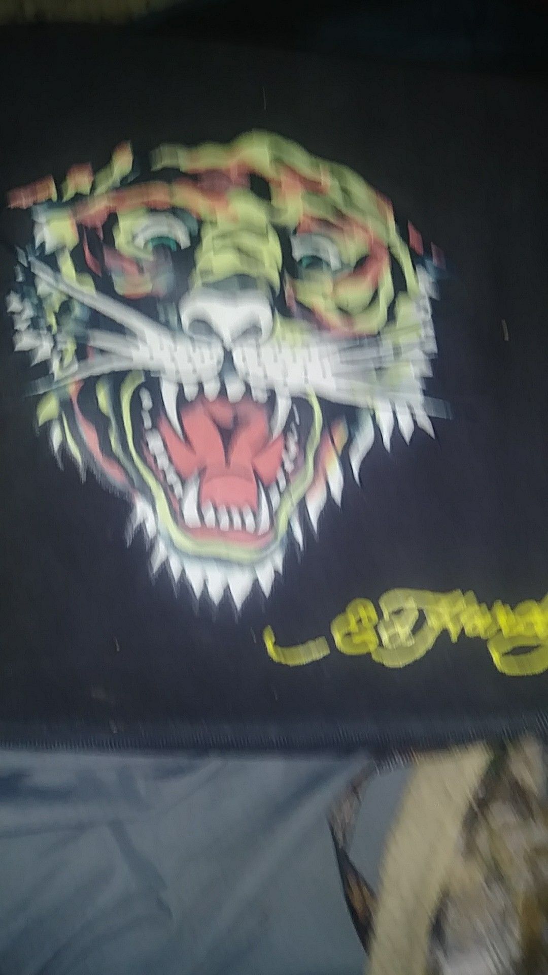 Ed hardy bag