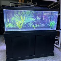75 Gallon Fish Tank Aquarium (LED Light, HOB Filter, Stand)