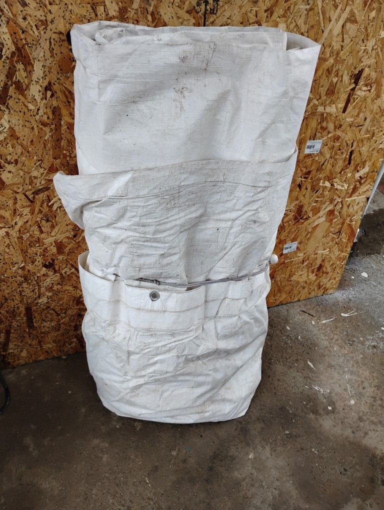 Tarp