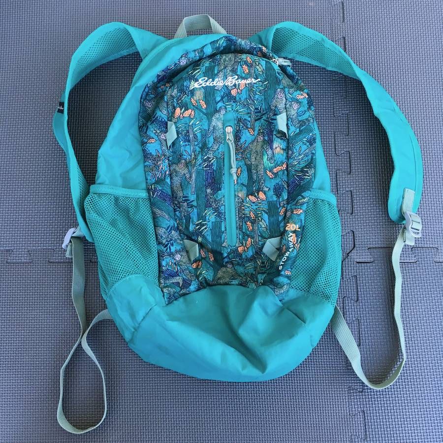 Eddie Bauer Stowaway 20L Backpack