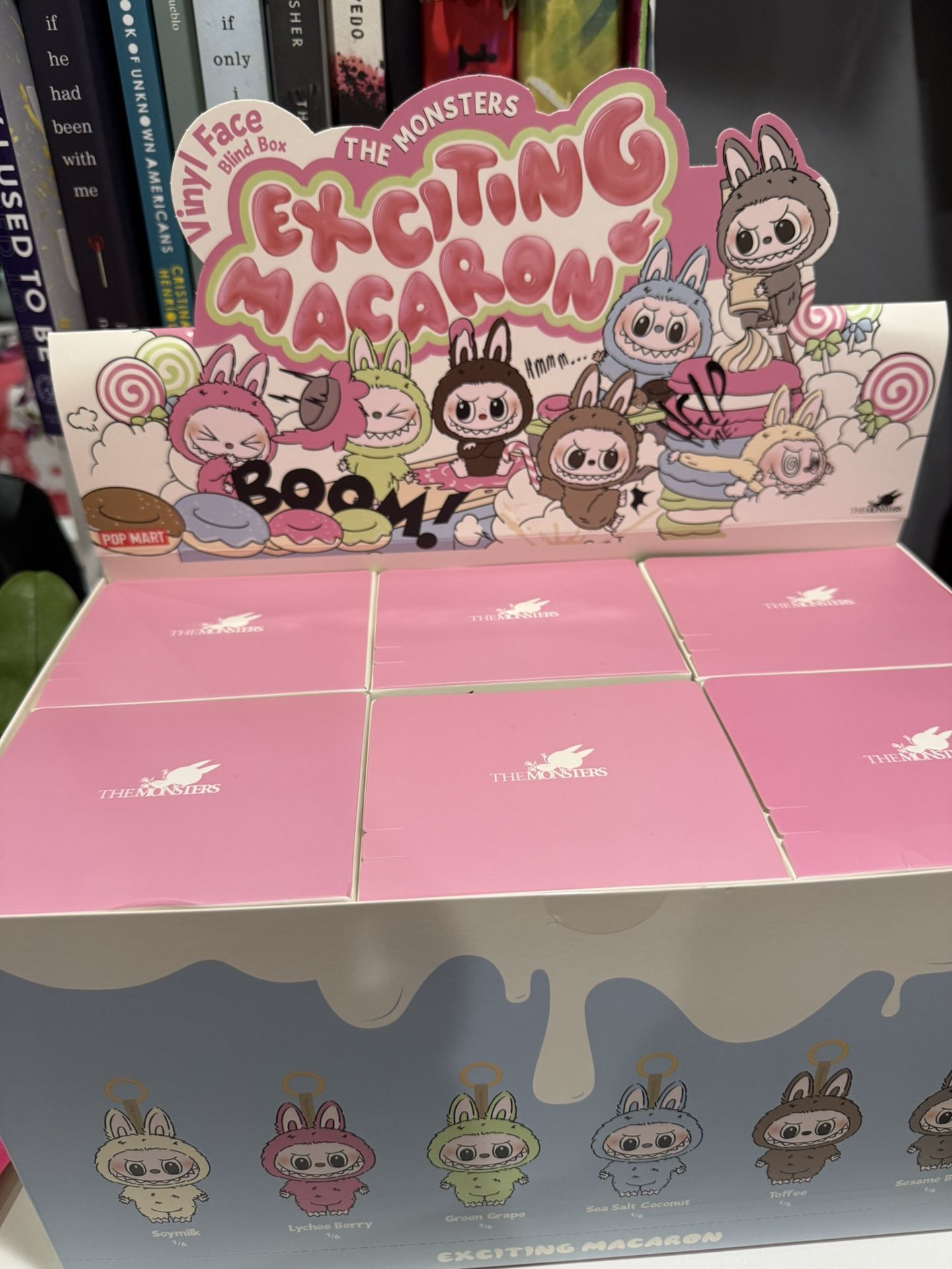 Exciting Macarons Labubu