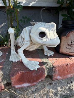 Skeleton Frog Halloween Decoration scary haunted house decor witches spooky frog