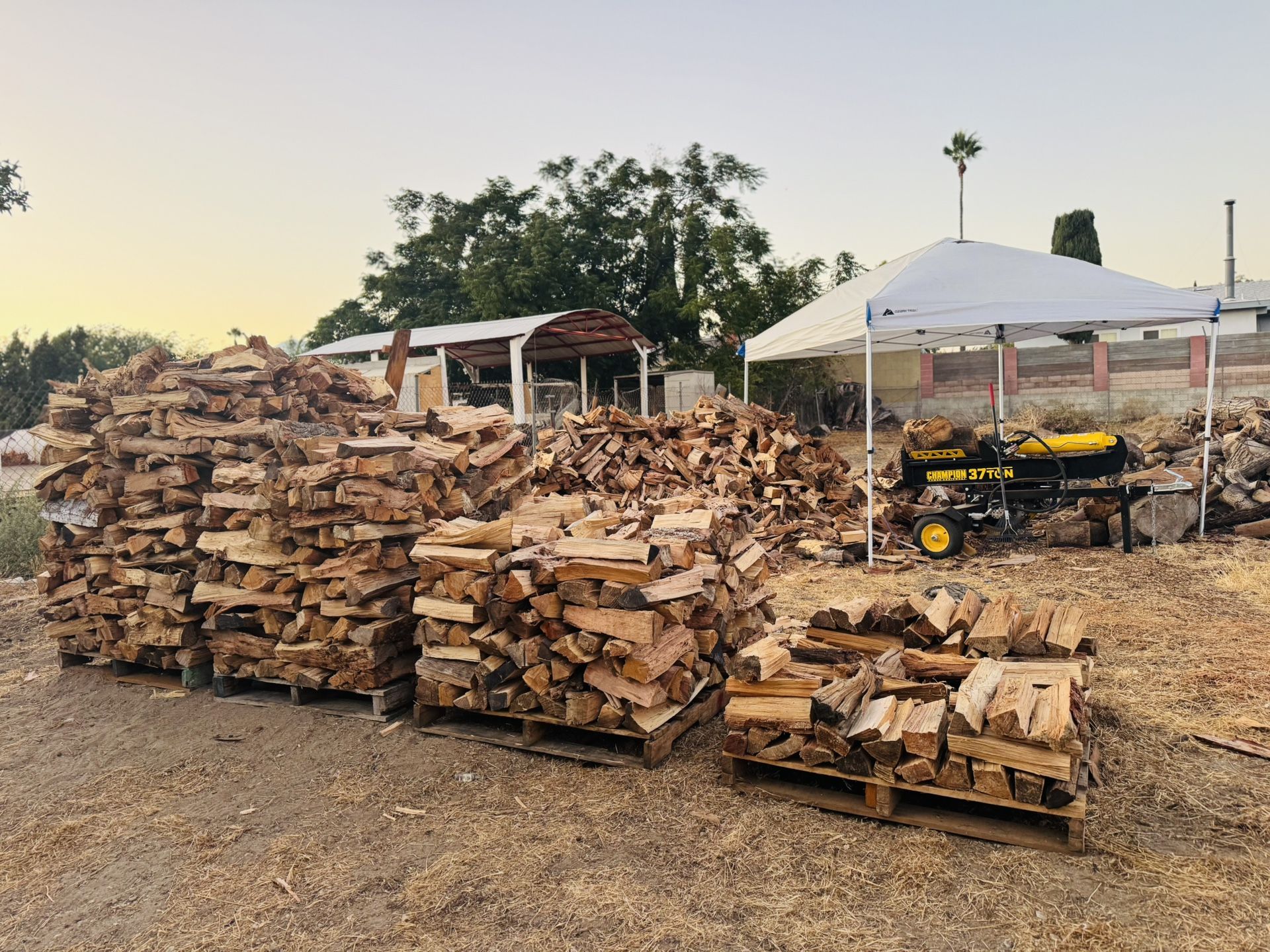 Firewood